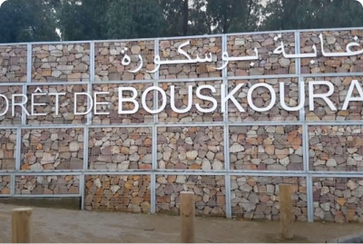 Forêt Bouskoura